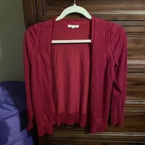 Maurice’s cardigan